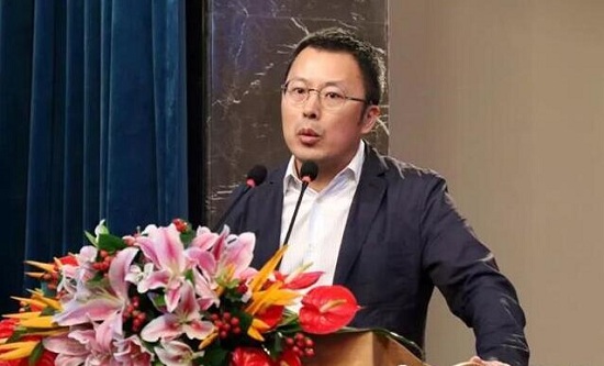 海岸集团董事长_鼎商集团鲸海岸(2)